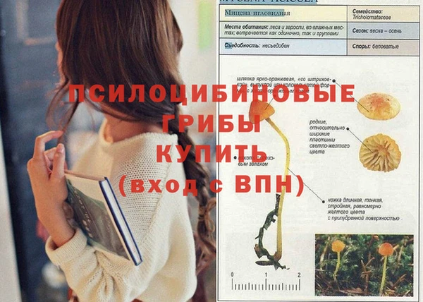 первитин Алзамай