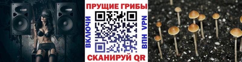даркнет сайт  Сухой Лог  МЕГА ссылка  Псилоцибиновые грибы мухоморы 